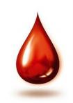 Zbiórka krwi 23 listopada